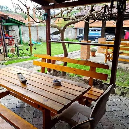 Pensiunea Otilia Guest house Sighisoara