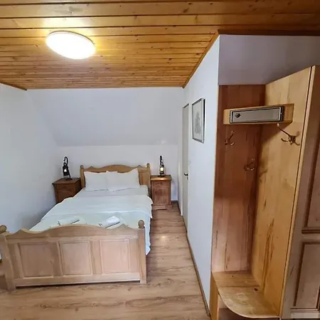 Pensiunea Otilia Guest house
