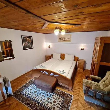 Pensiunea Otilia Guest house