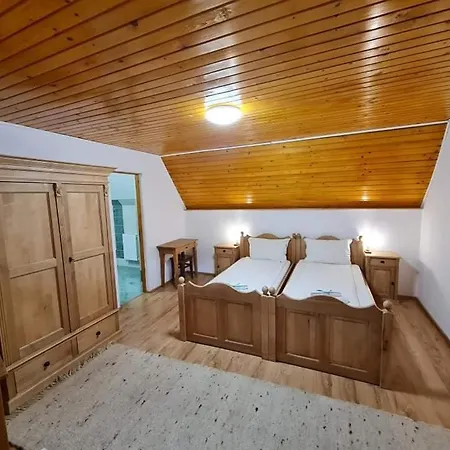 Pensiunea Otilia Guest house Sighisoara