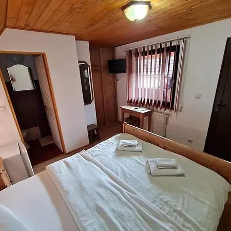 Pensiunea Otilia Guest house