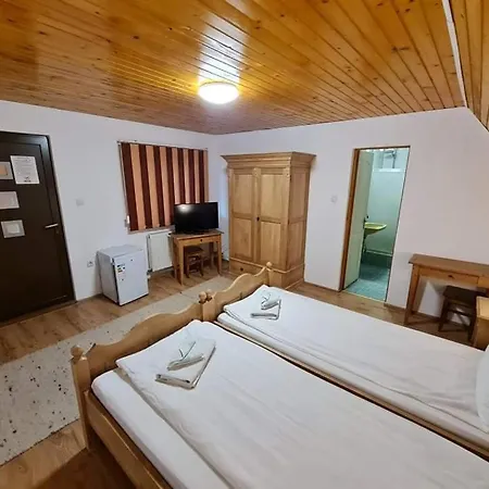 Guest house Pensiunea Otilia 3*