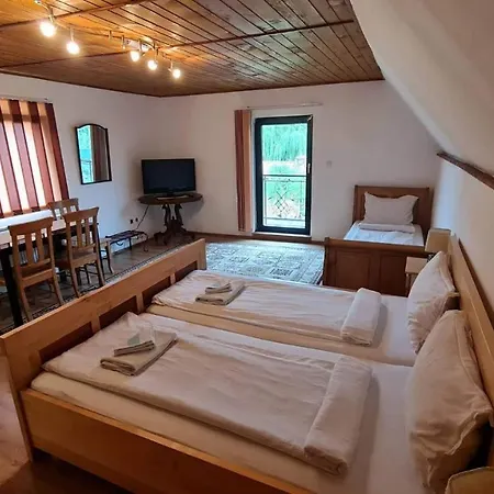Pensiunea Otilia 3* Sighisoara