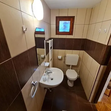 Pensiunea Otilia Guest house 3*