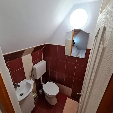 Guest house Pensiunea Otilia